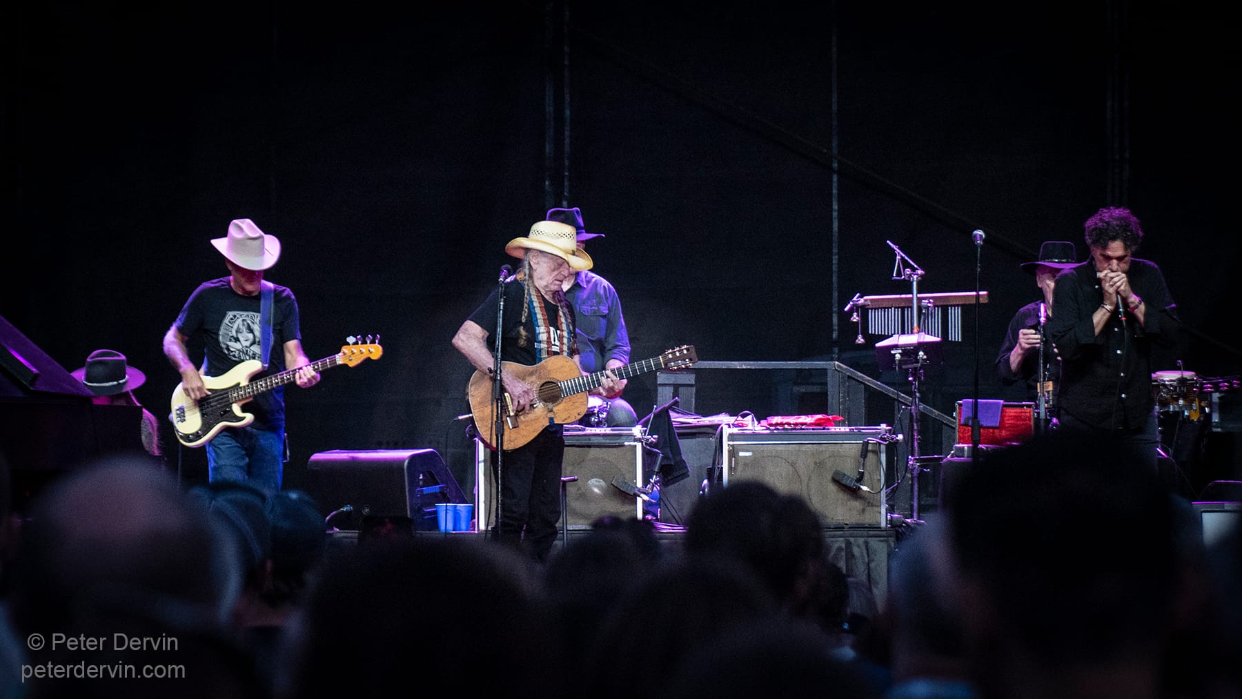 Willie Nelson