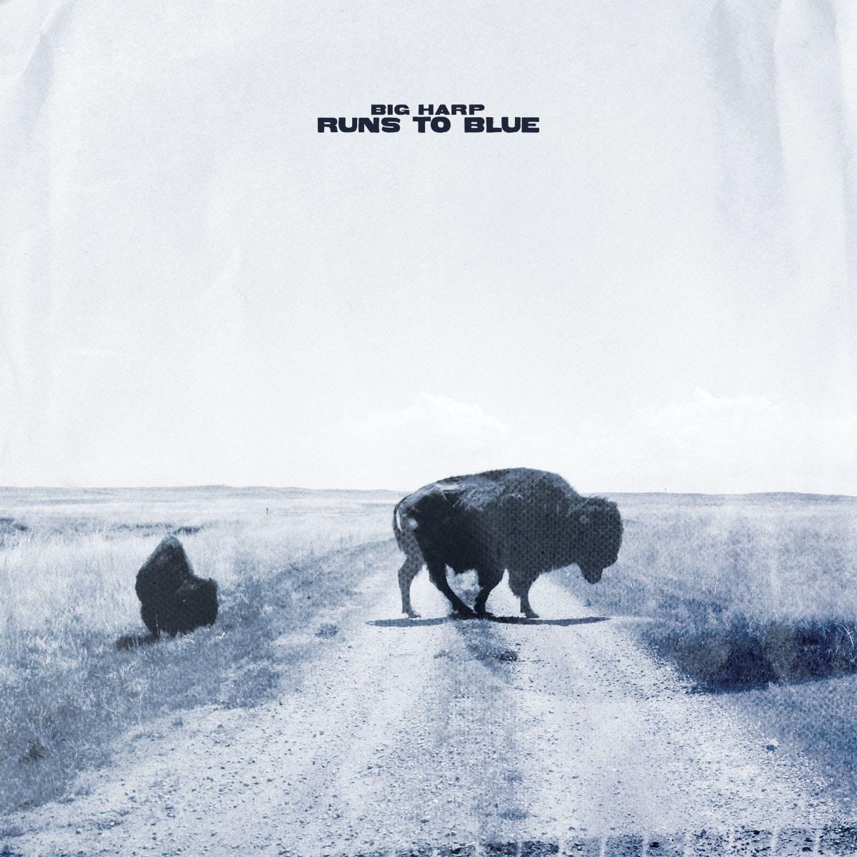 ALBUM REVIEW: Big Harp Lives with ‘Runs to Blue’