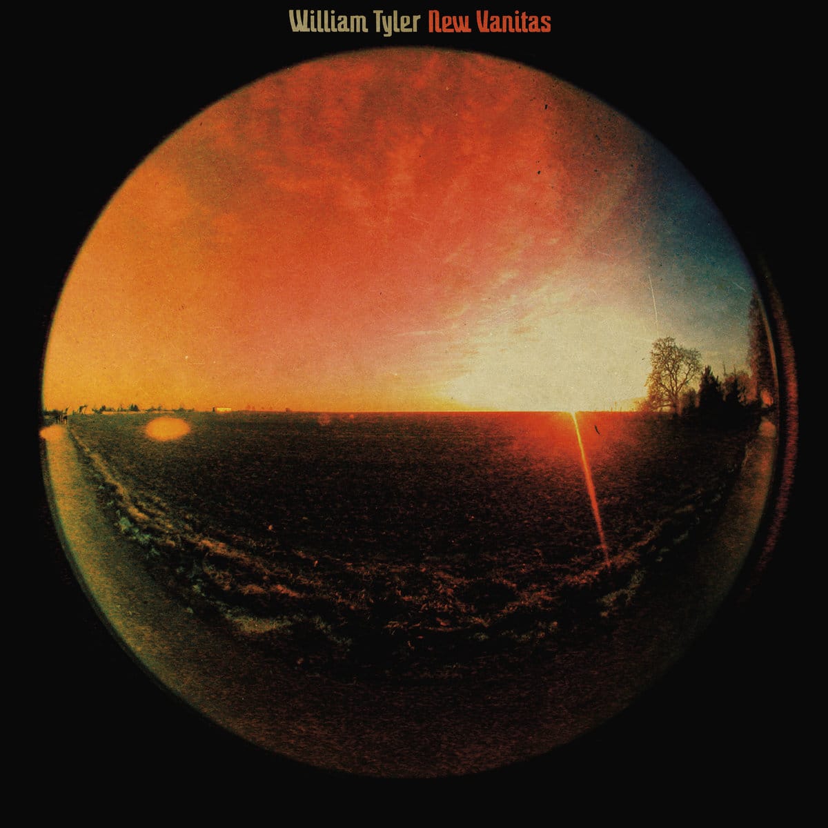 William Tyler Explores and Inhabits Change on ‘New Vanitas’