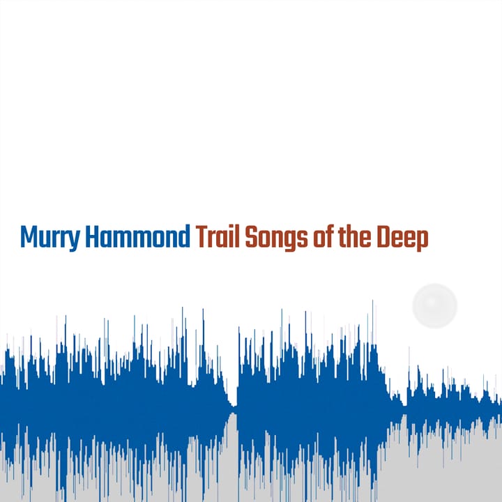 ALBUM REVIEW: Old 97’s Mainstay Murry Hammond Flies Solo on the Wistful ‘Trail Songs’