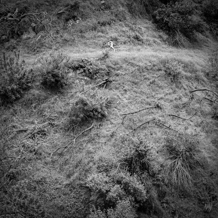 ALBUM REVIEW: Anna Tivel Explores Her Final Frontier on 'Animal Poem'