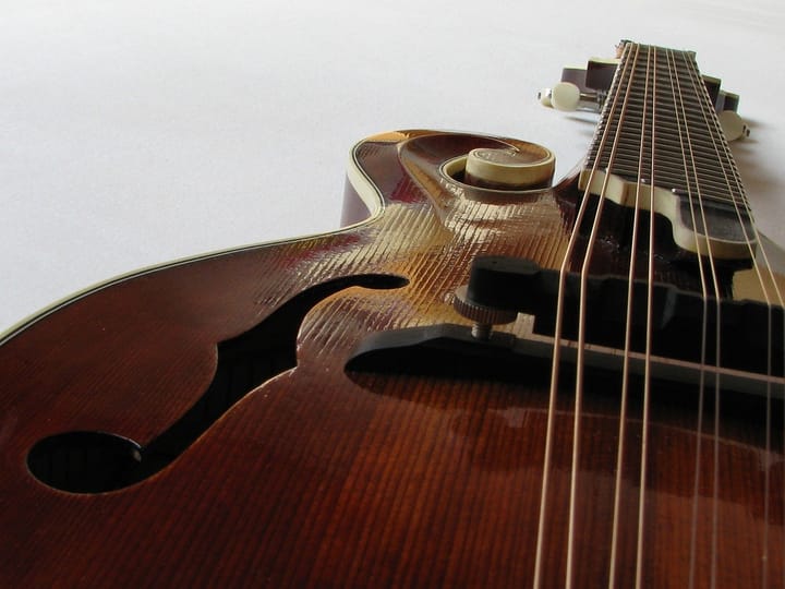 50 STATES OF FOLK: The Mandolin’s Ellis Island Journey to the All-American Sound