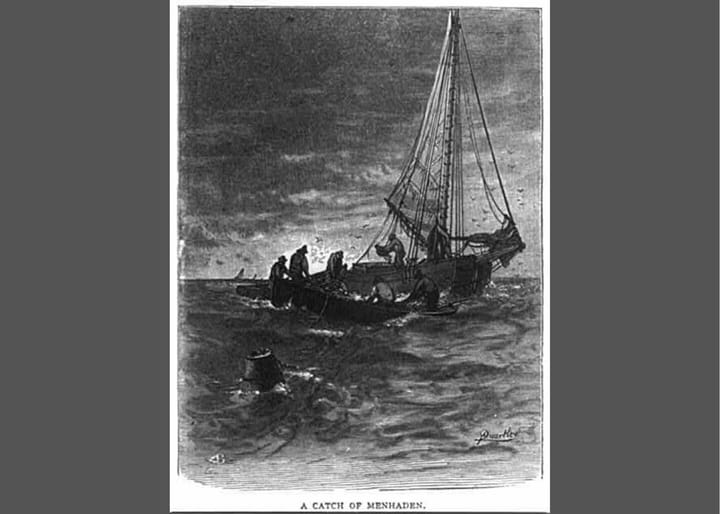 50 STATES OF FOLK: Chanteys on Maryland's Chesapeake Bay