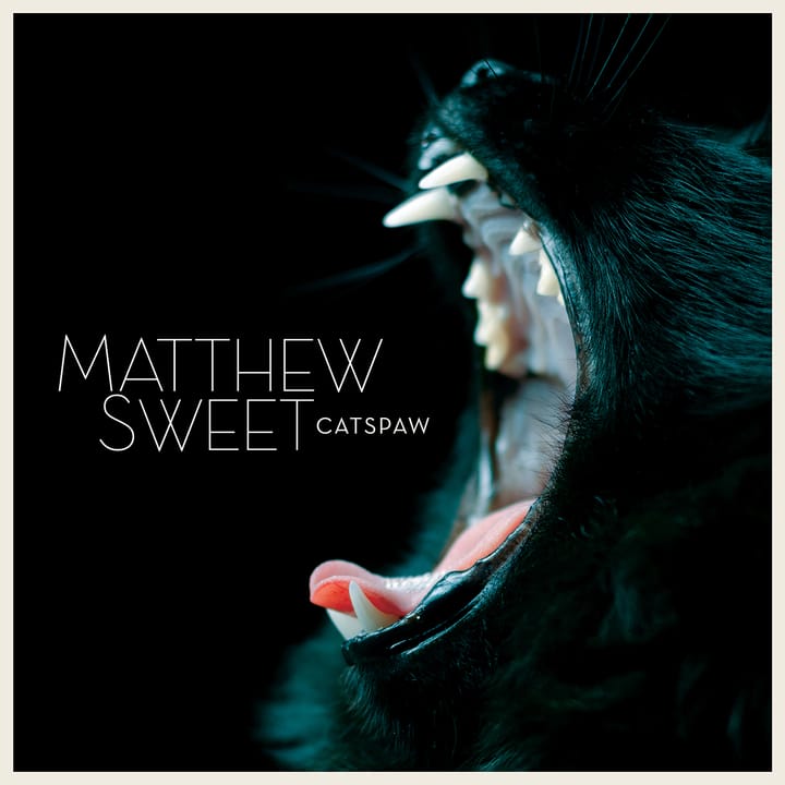 Matthew Sweet and His Guitar Take the Reins on ‘Catspaw’