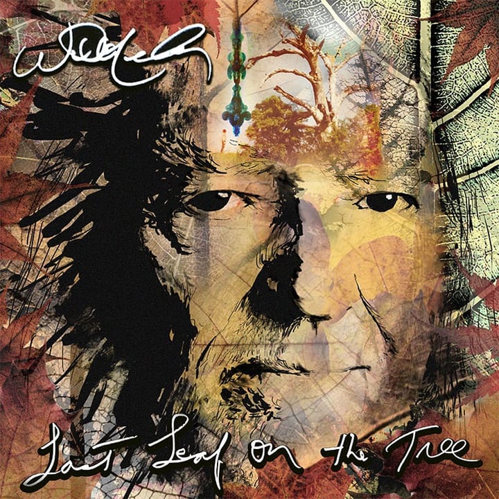 ALBUM REVIEW: On 'Last Leaf on the Tree' Willie Nelson Contemplates Still Standing